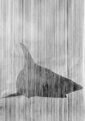 Eco Noir: A Companion For Precarious Times