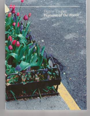 Features of the Poetic