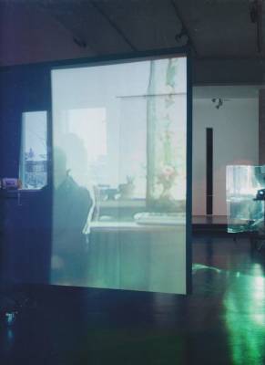 Three-Dimensional Projection